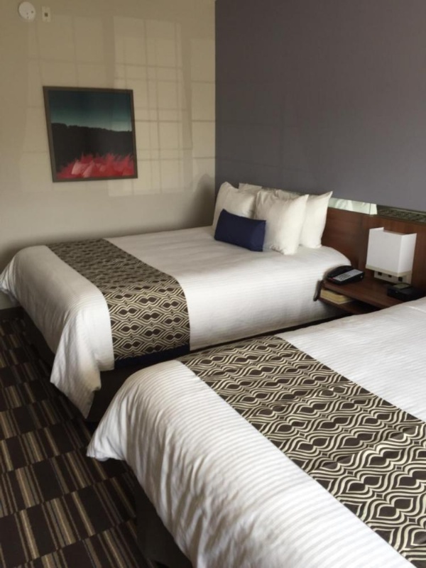 Microtel Inn & Suites by Wyndham Sault Ste. Marie image 18